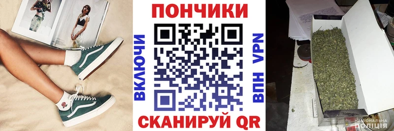 Канабис сатива  KRAKEN   Ряжск 